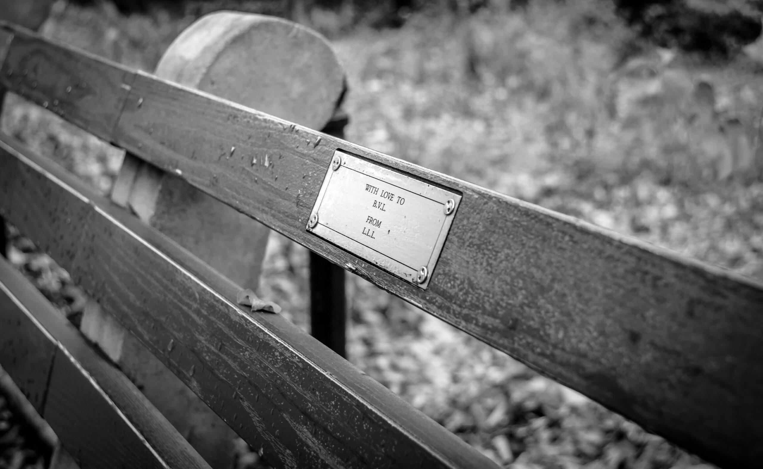 Metal plaque on a park bench with engraved text.